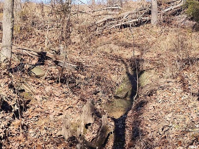 425 PIONEER Lane, Vienna, IL 62995