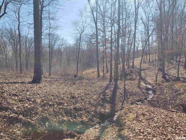 425 PIONEER Lane, Vienna, IL 62995