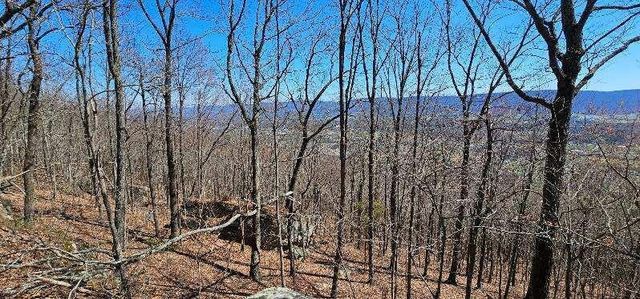 1 Vista View Drive, S, Dunlap, TN 37327