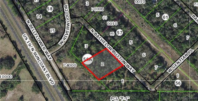 8566 N Bachelor Button Way, Crystal River, FL 34428