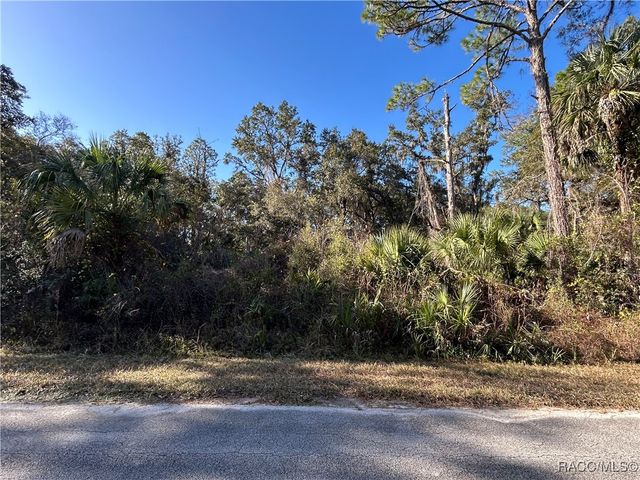 8566 N Bachelor Button Way, Crystal River, FL 34428