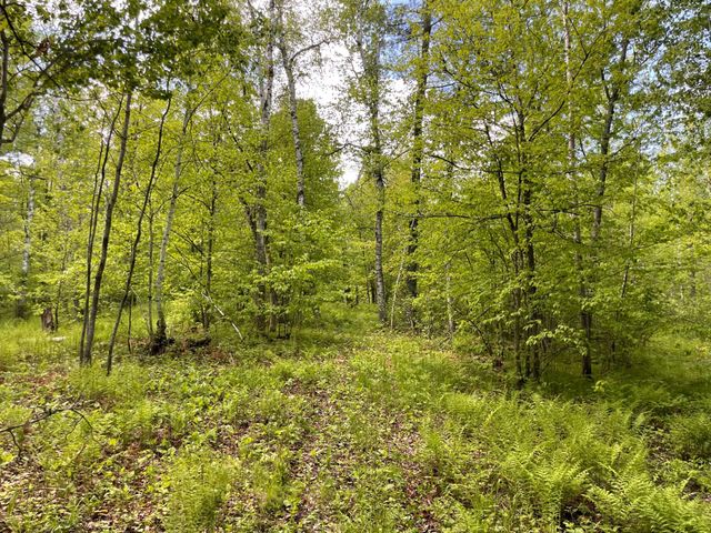 6281 24th Avenue NW, Turtle Lake Twp, MN 56484
