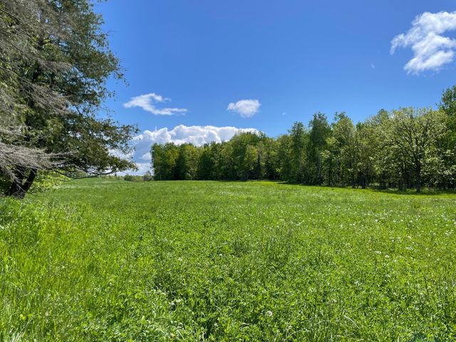 6281 24th Avenue NW, Turtle Lake Twp, MN 56484