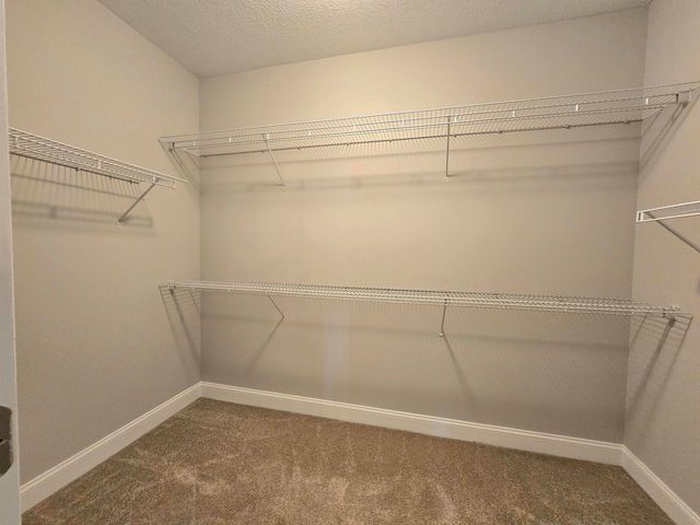 246 Seagrass Loop, Myrtle Beach, SC 29588