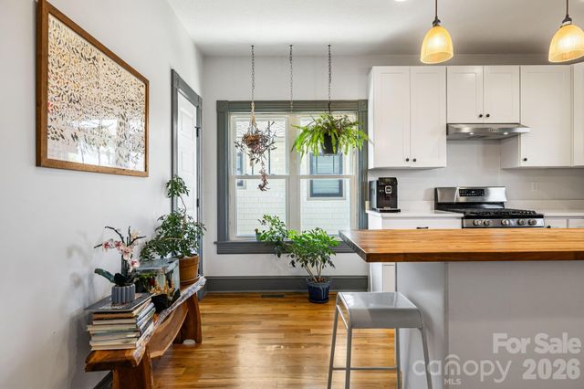 17 Ora Street, Asheville, NC 28801