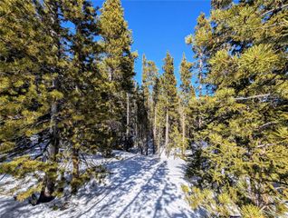 Lot 234 Alice Road, Idaho Springs, CO 80453