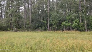 Ms-43 N, Picayune, MS 39466