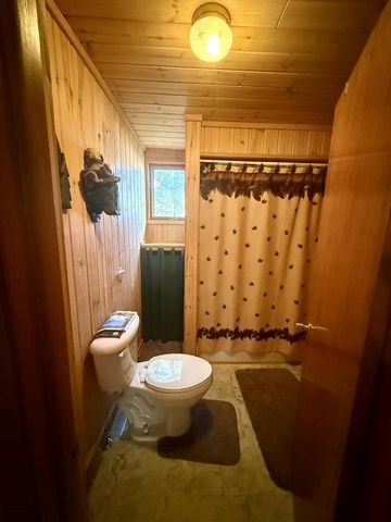 N11765 DEER LAKE ROAD, Athelstane, WI 54104