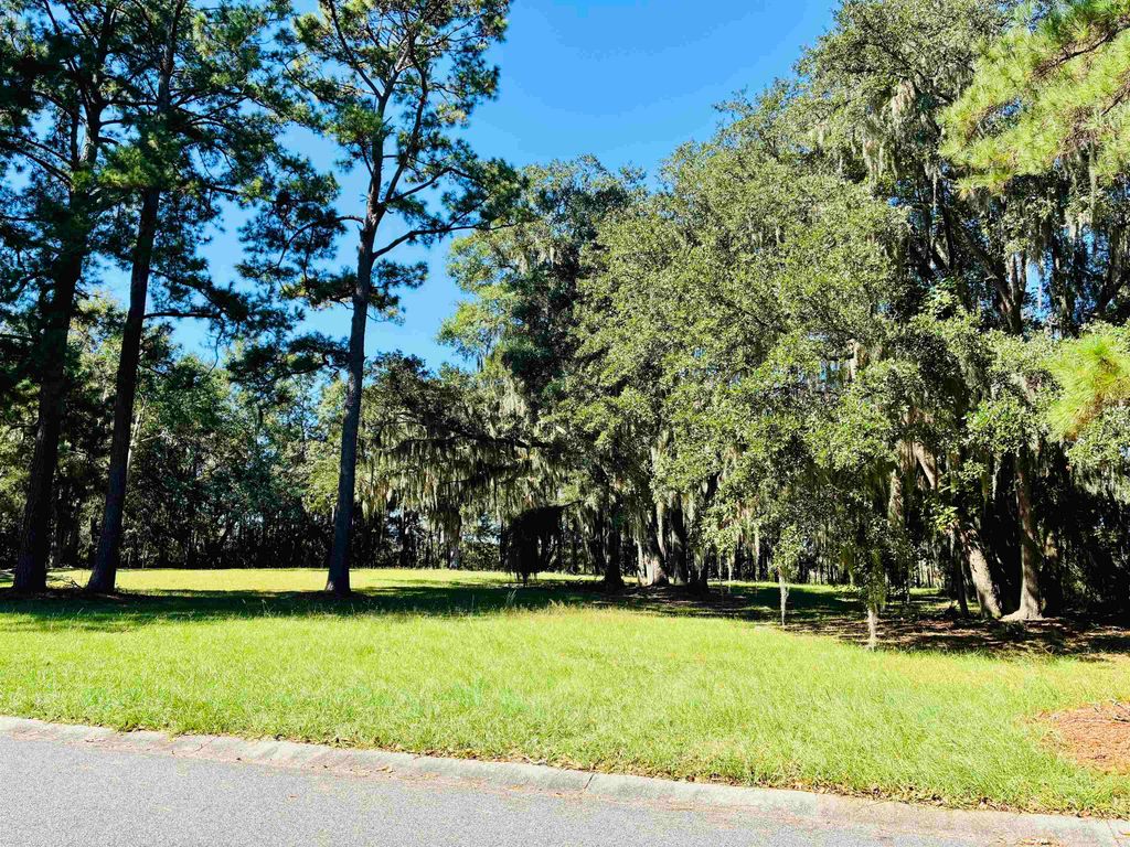 602 Chapman Loop, Pawleys Island, SC 29585 — photo 3