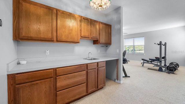 7351 SPRING MOUNTAIN LANE, Yalaha, FL 34797