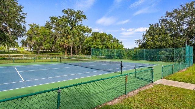 7351 SPRING MOUNTAIN LANE, Yalaha, FL 34797