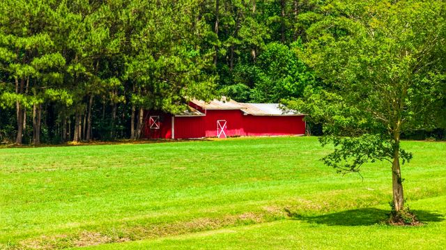 1315 Sioux Swamp Dr., Conway, SC 29527