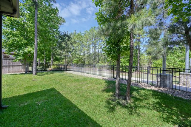 10057 Red Beadtree Place, Conroe, TX 77385