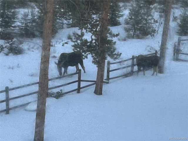 600 Cr-4480, Grand Lake, CO 80447