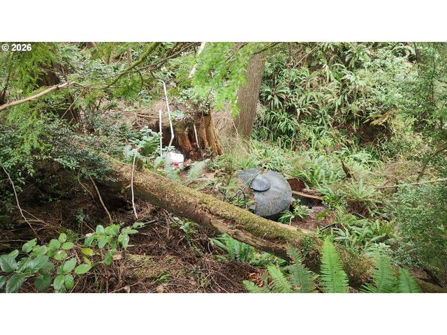 5046 N LOFTUS Rd, Florence, OR 97439