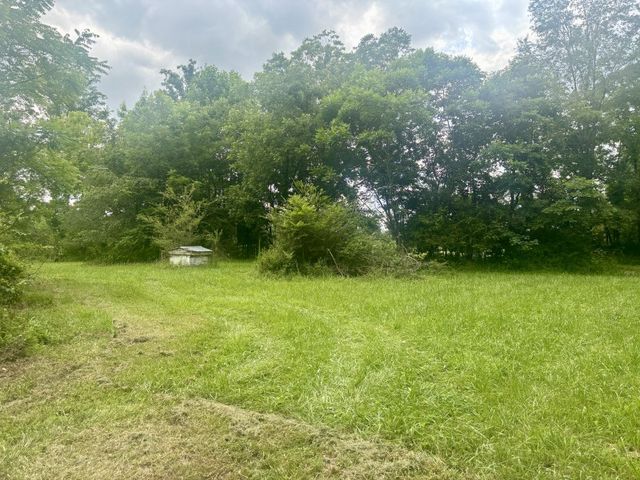 294 Haskell Winton Rd, Manchester, TN 37355