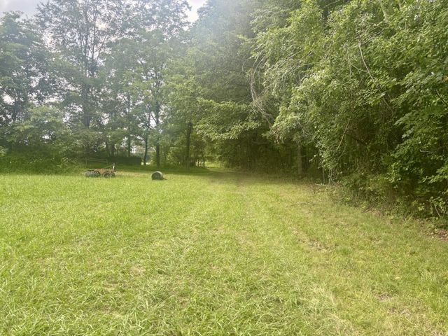 294 Haskell Winton Rd, Manchester, TN 37355