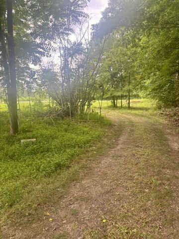 294 Haskell Winton Rd, Manchester, TN 37355