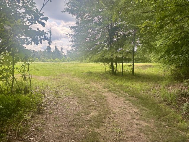 294 Haskell Winton Rd, Manchester, TN 37355