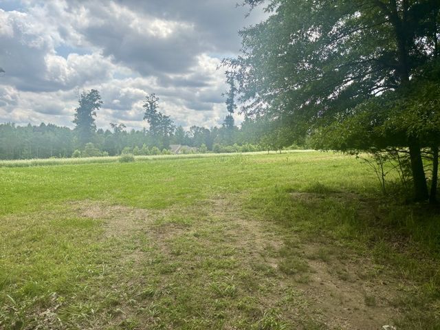 294 Haskell Winton Rd, Manchester, TN 37355