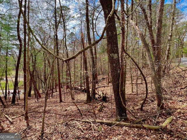 525 Camber Court, Ellijay, GA 30540