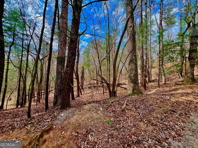 525 Camber Court, Ellijay, GA 30540