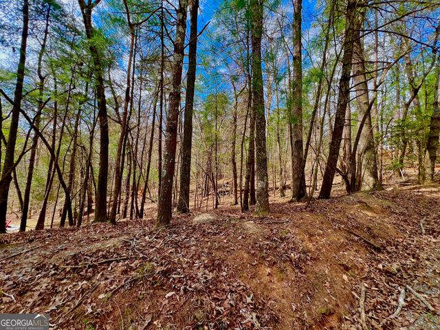 525 Camber Court, Ellijay, GA 30540