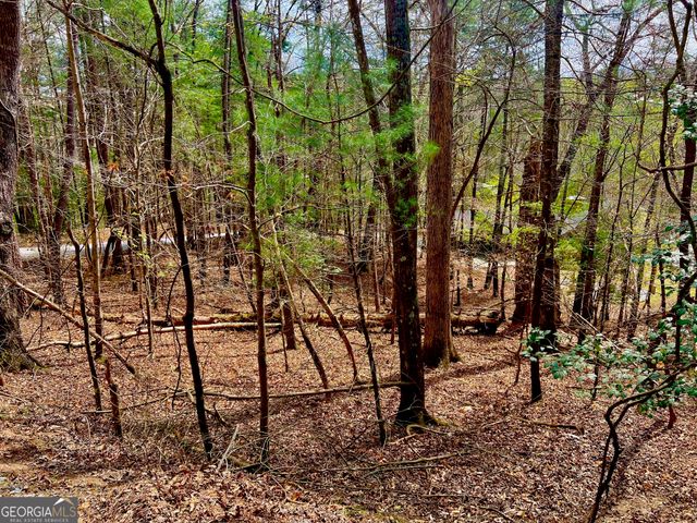 525 Camber Court, Ellijay, GA 30540