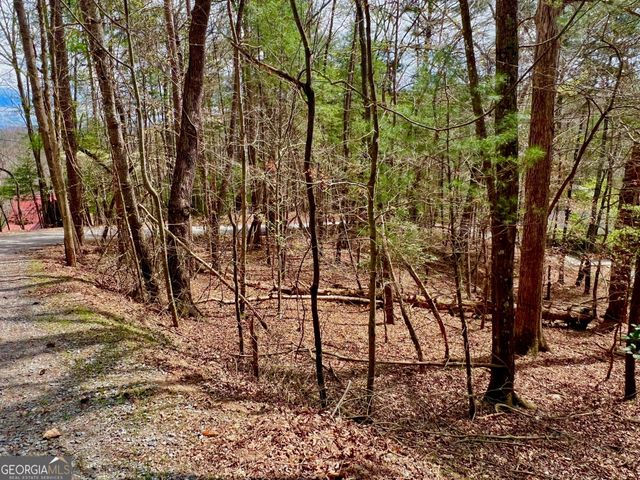 525 Camber Court, Ellijay, GA 30540