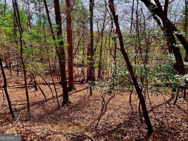 525 Camber Court, Ellijay, GA 30540