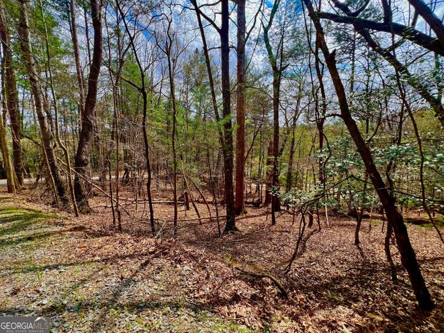 525 Camber Court, Ellijay, GA 30540