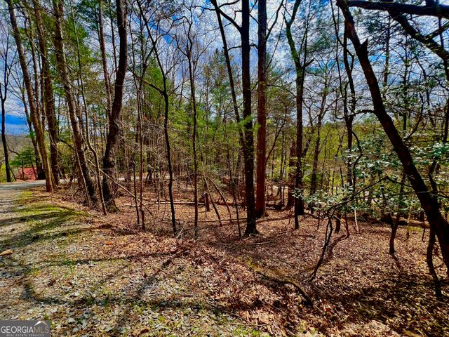 525 Camber Court, Ellijay, GA 30540