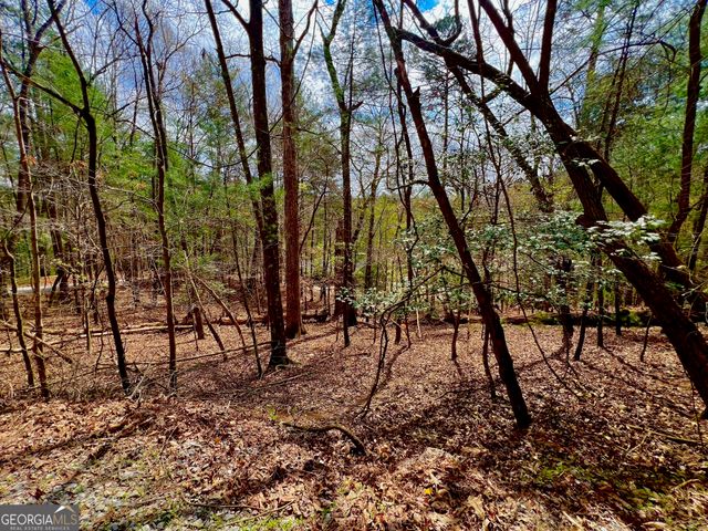 525 Camber Court, Ellijay, GA 30540