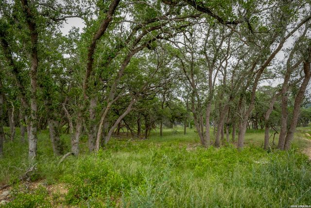 34780 High Gate Rd, Bulverde, TX 78163
