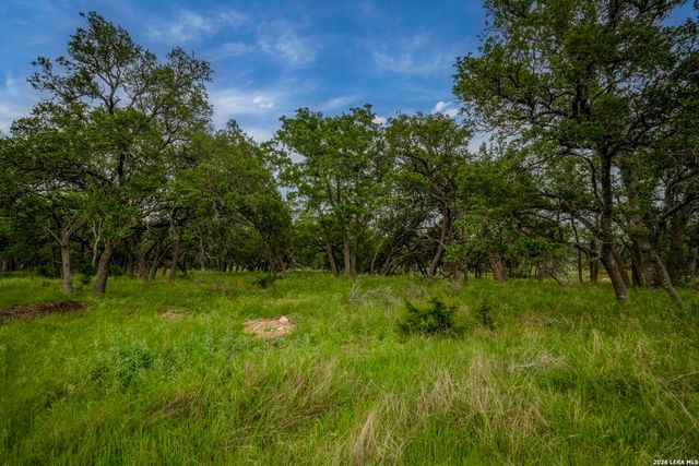 34780 High Gate Rd, Bulverde, TX 78163