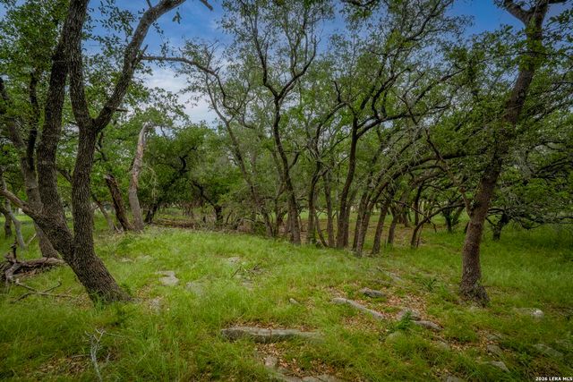 34780 High Gate Rd, Bulverde, TX 78163