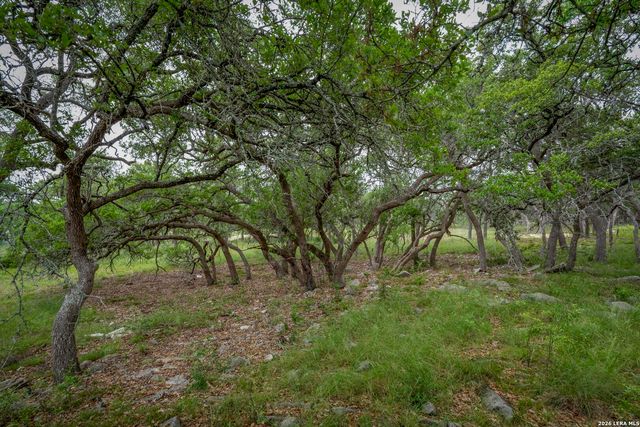 34780 High Gate Rd, Bulverde, TX 78163