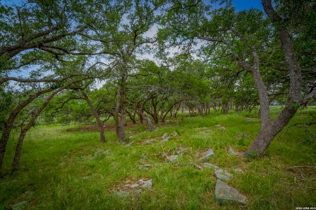 34780 High Gate Rd, Bulverde, TX 78163