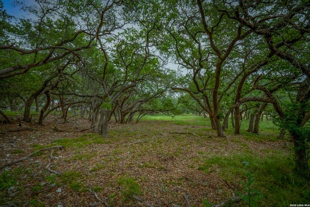 34780 High Gate Rd, Bulverde, TX 78163