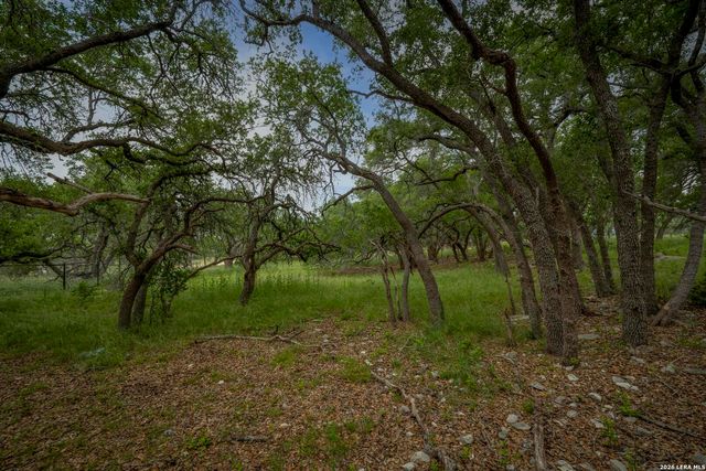 34780 High Gate Rd, Bulverde, TX 78163