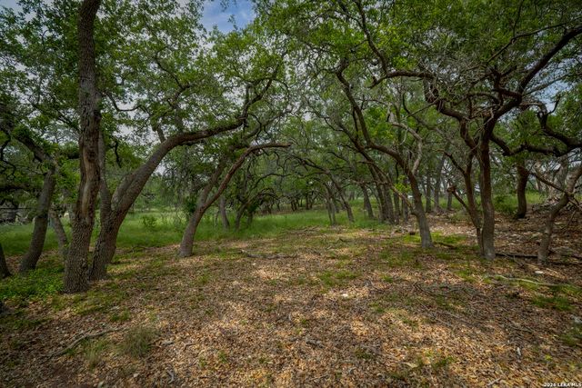 34780 High Gate Rd, Bulverde, TX 78163