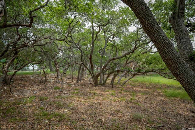 34780 High Gate Rd, Bulverde, TX 78163