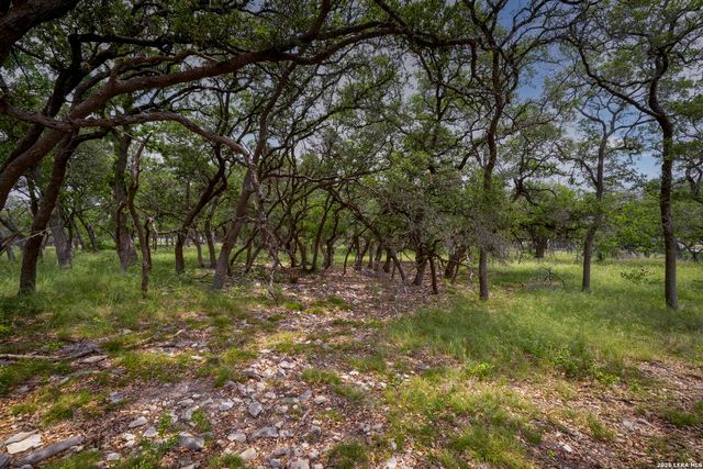34780 High Gate Rd, Bulverde, TX 78163