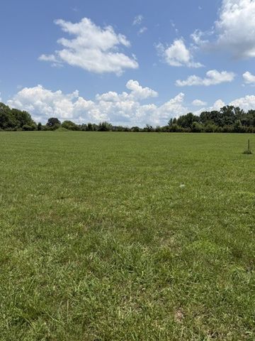 0 Old Salem Lexie Rd, Belvidere, TN 37306