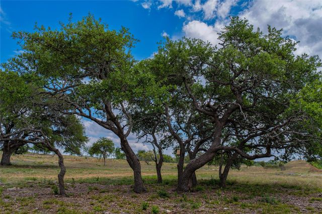 Lot 8 Maddalena LN, Dripping Springs, TX 78620