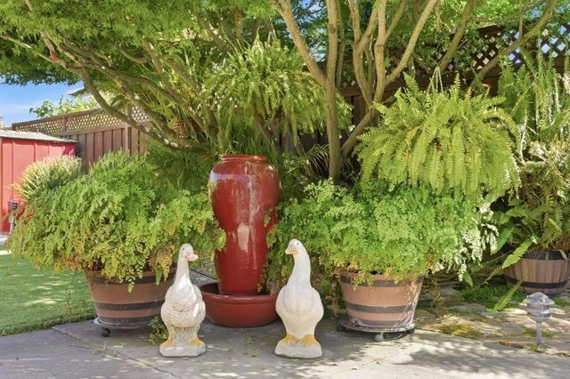 1126 W Knickerbocker Drive, Sunnyvale, CA 94087