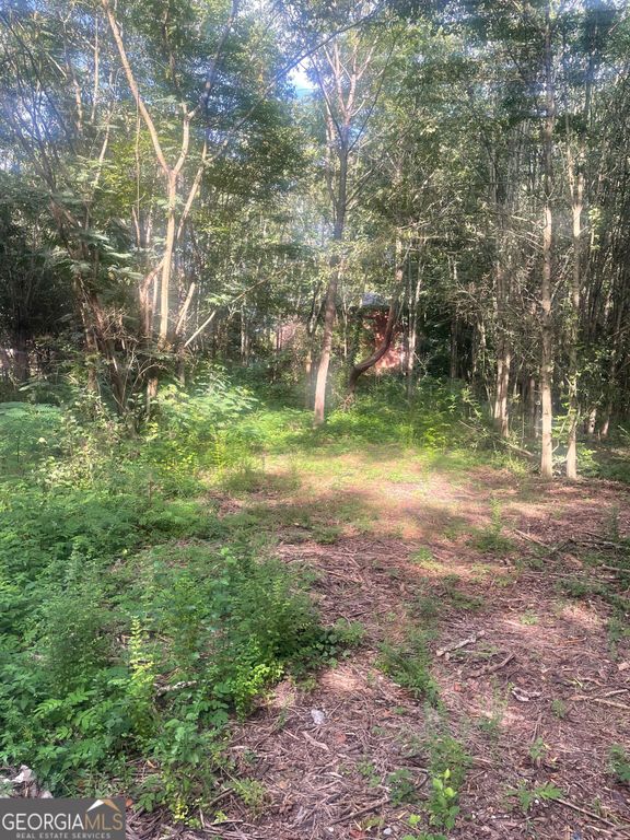 21 & 34 Crump Road SE, Cartersville, GA 30120 — photo 5