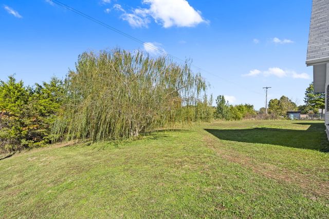 100 Micahs Xing, Reeds Spring, MO 65737