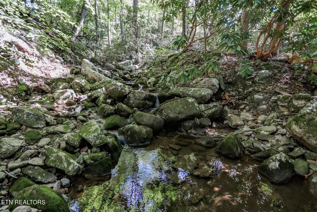 961 Tomahawk Rd, Cosby, TN 37722