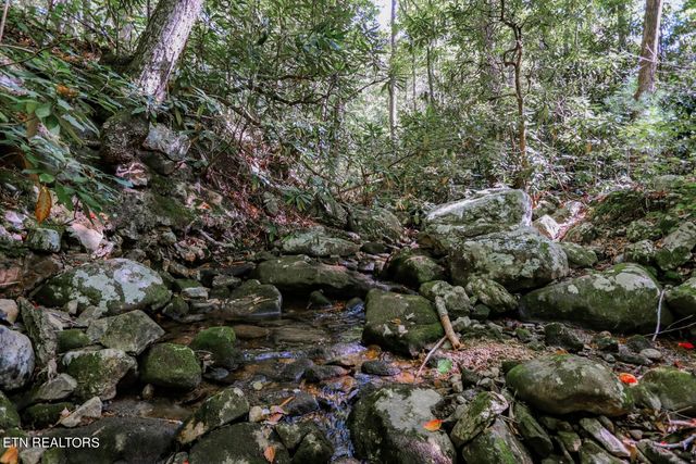 961 Tomahawk Rd, Cosby, TN 37722